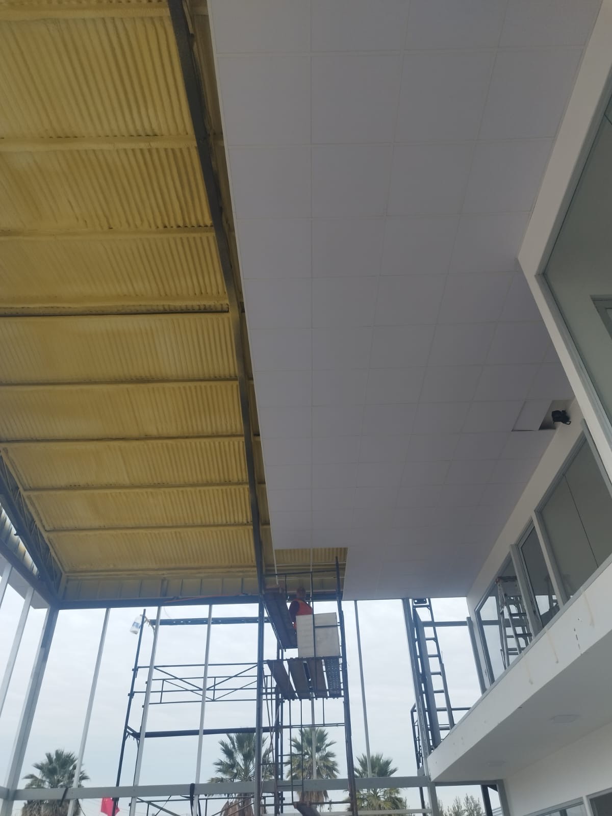 Pasillo vidriado con cielo modular y revestimiento de madera